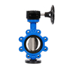 Concentric Lug Lugged Full Lug Butterfly Valve with Rubber Hard Back Seat API609/API598/EN593