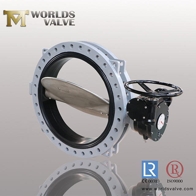 Double Flanges U Type Butterfly Valves with SS Disc