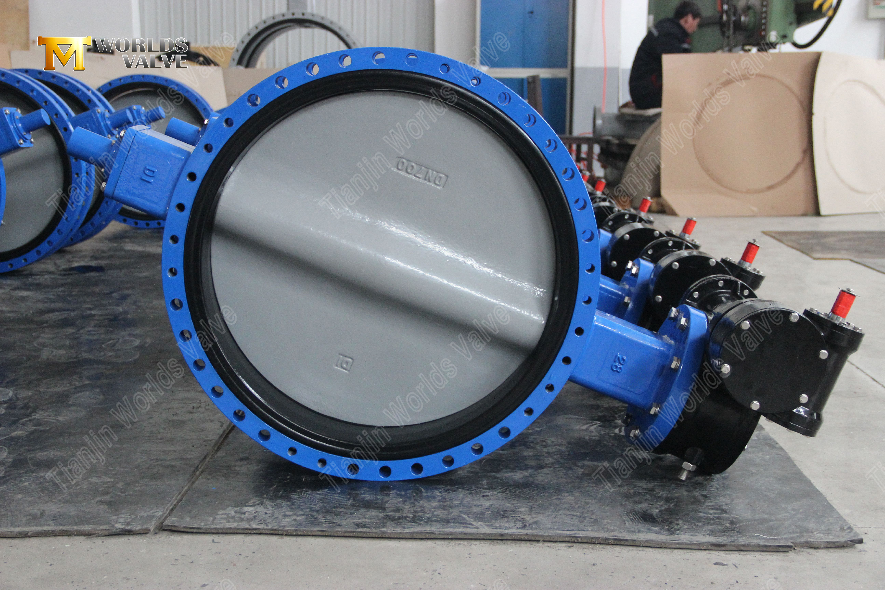 Gear Operated U Type Flange Butterfly Valve with Nylon Coated Disc (8)