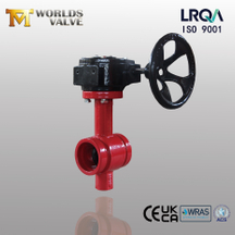 Certified Grooved Butterfly Valve with Gearbox | Worlds Valve OEM Manufacturer