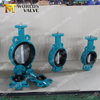 Loose Liner Rubber Seat Butterfly Valve Acs Certificate for Potable Water