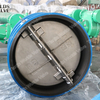 Full Rubber Lined Wafer Type Check Valve Non-return Valve 