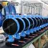 EPDM Rubber Coated Disc Butterfly Valve with Square Stem/Stem with Key/Double D Stem Head