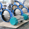 Double Single Acting Pneumatic actuator Butterfly Valve