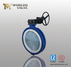 PFA Full Coated U Type Double Flanged Butterfly Valves