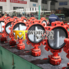 Nylon11 Painting Disc Lugged And Tapped Type Butterfly Valve