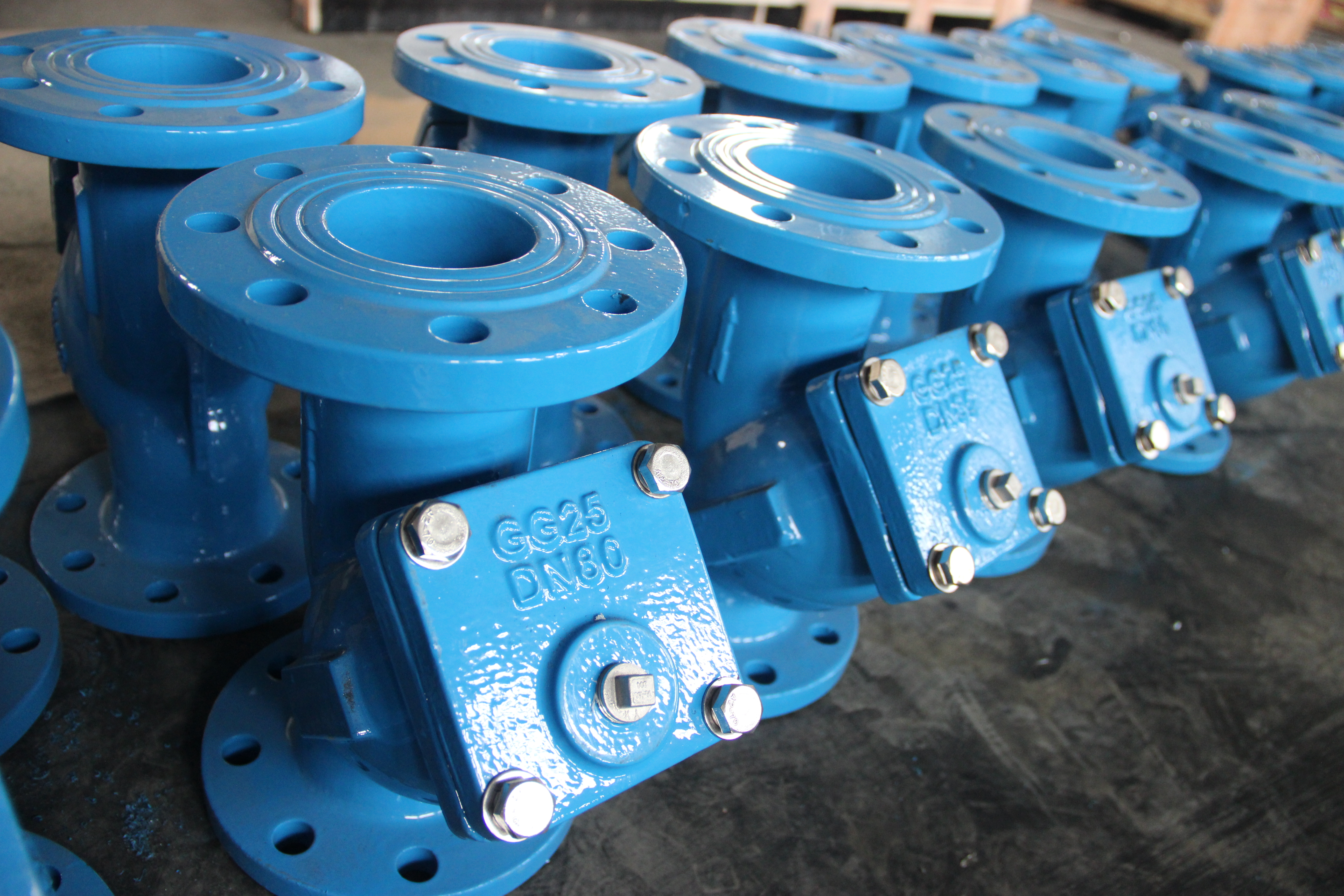 DN80 Y Type Strainer Ductile Iron Body Flanged Connection Industrial Pipeline Protection (3).JPG