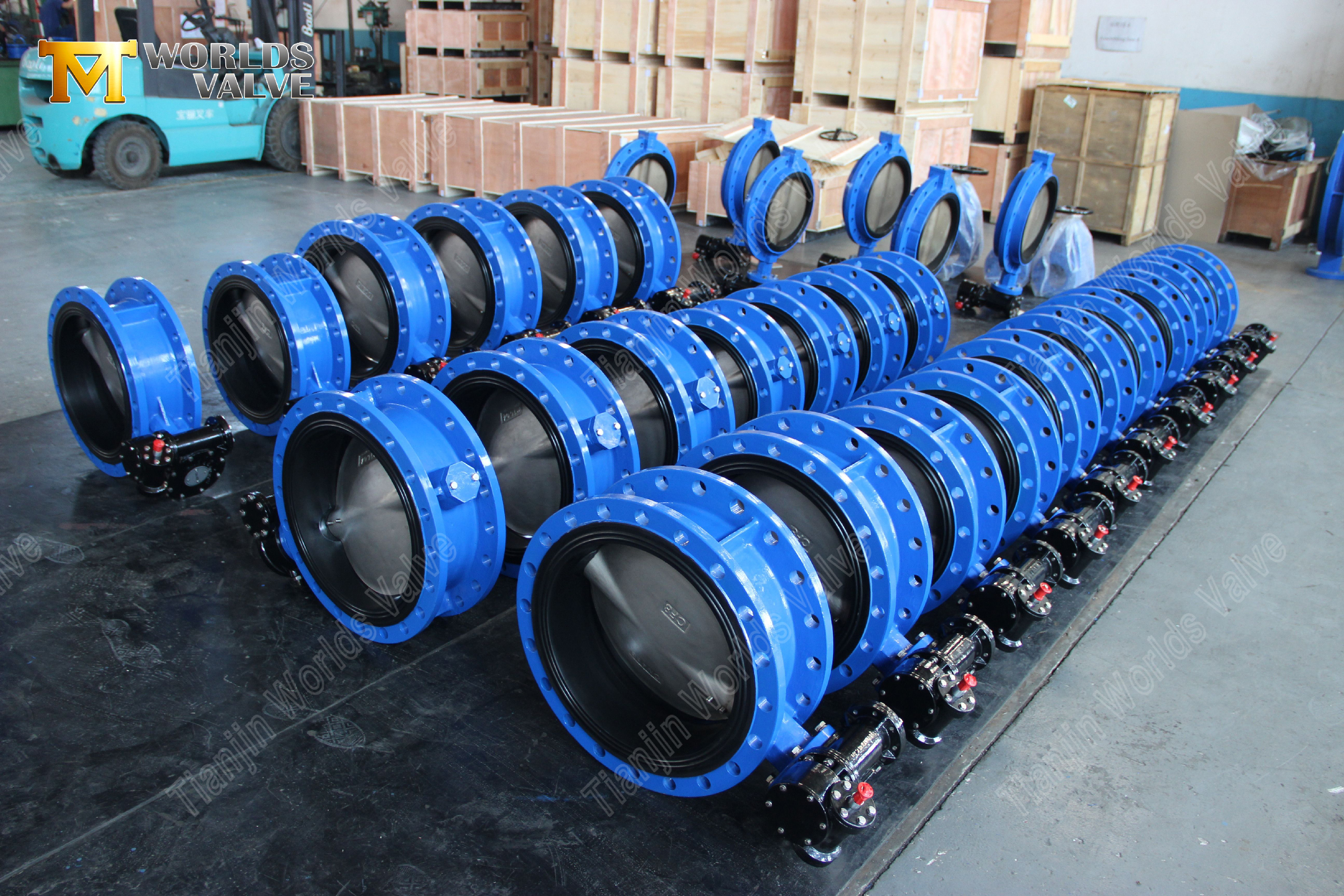 Flanged-Butterfly-Valve-with-Pin-Mounted-CF8M-Disc-&-Gear-Operator-8