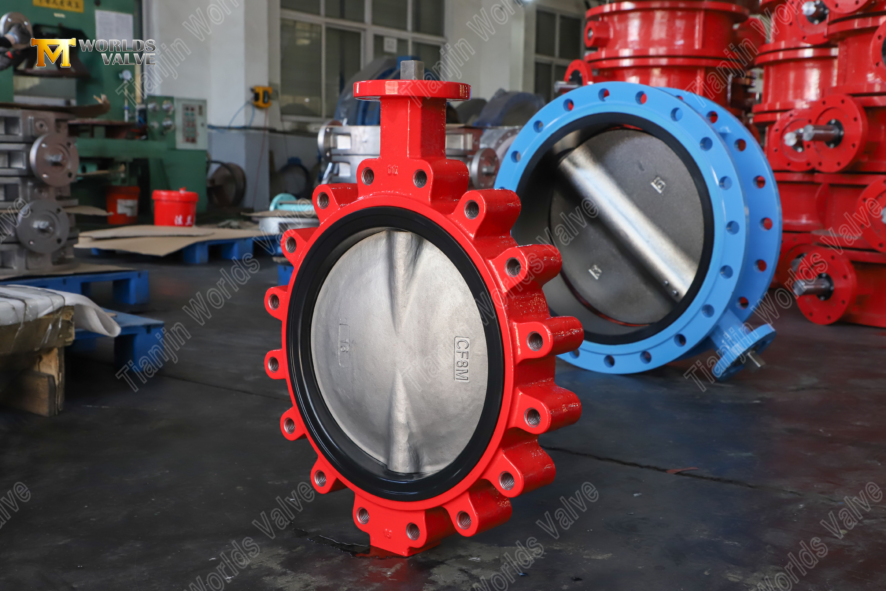 Lug Type Butterfly Valve with Replaceable EPDM Seat DI Body CF8M Disc OEM Supplier (10)
