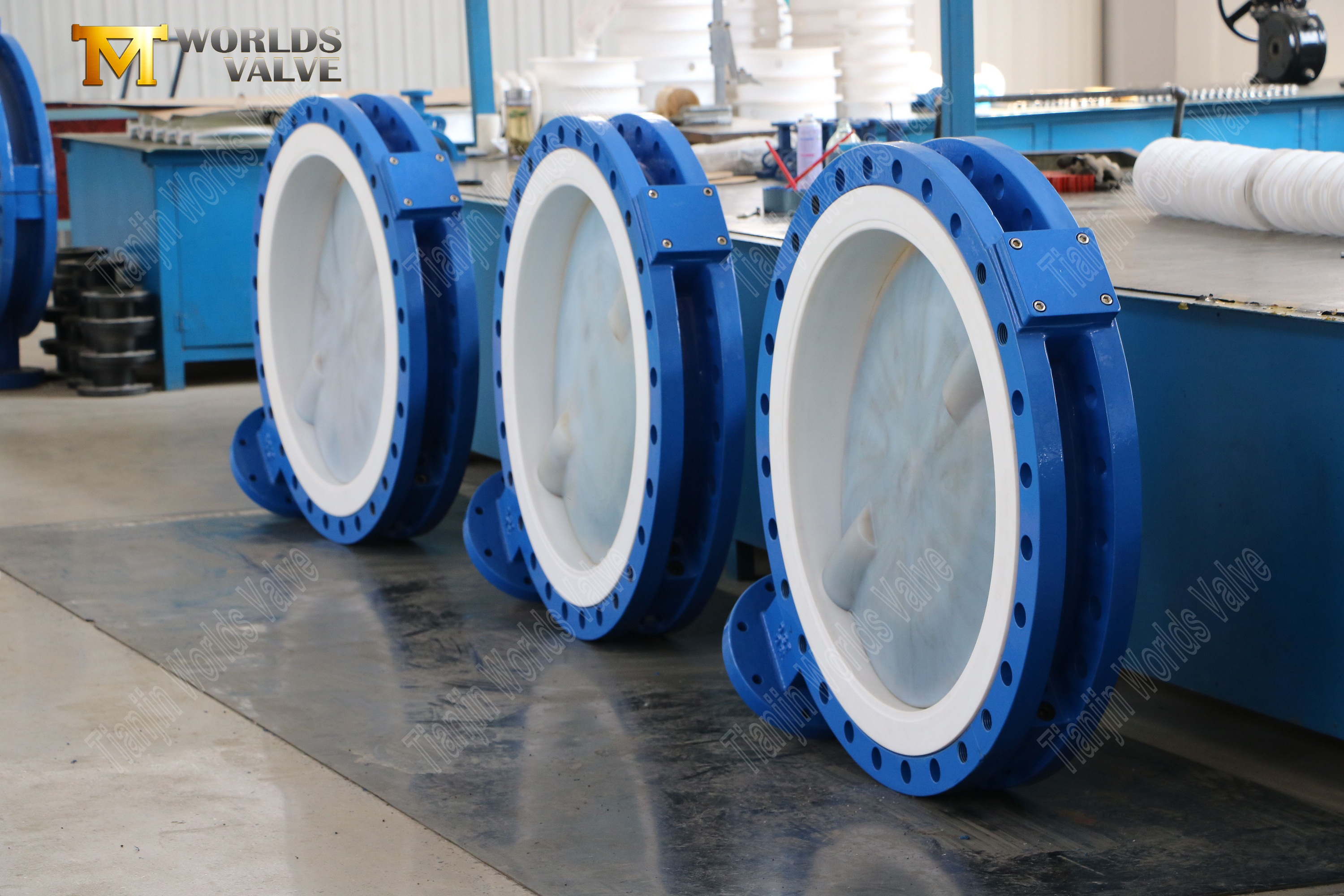 PFA Butterfly Valve for Chemical Service 150LB, PTFE Seat, Gear Operated (6)