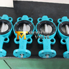 Wafer Butterfly Valve with SS Disc from China OEM|ODM Valve Manufacturer-Tianjin Worlds Valve Co., Ltd.