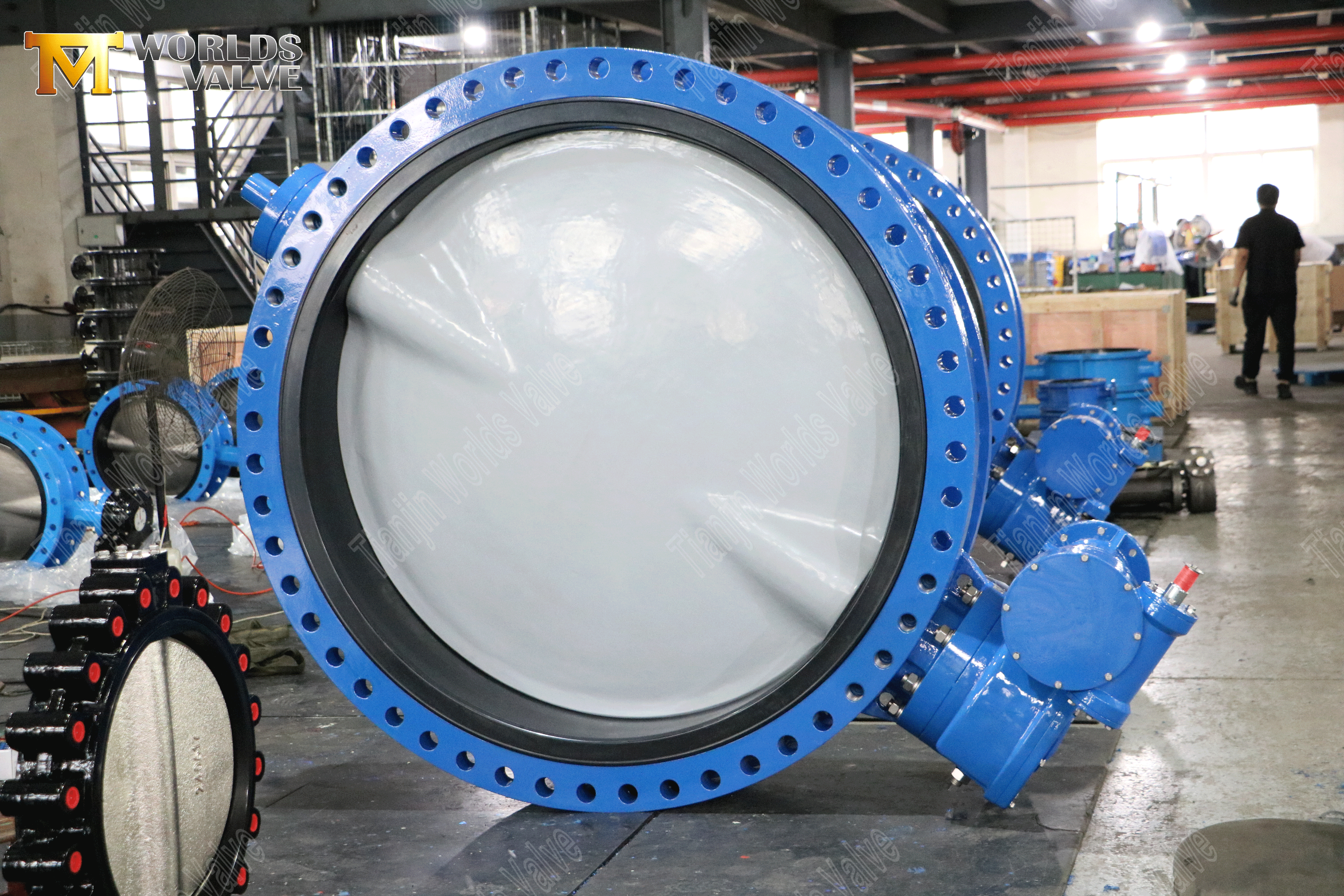 Butterfly Valve Manufacturers - Resilient Seated Double Flanged Butterfly Valve-3 (2)