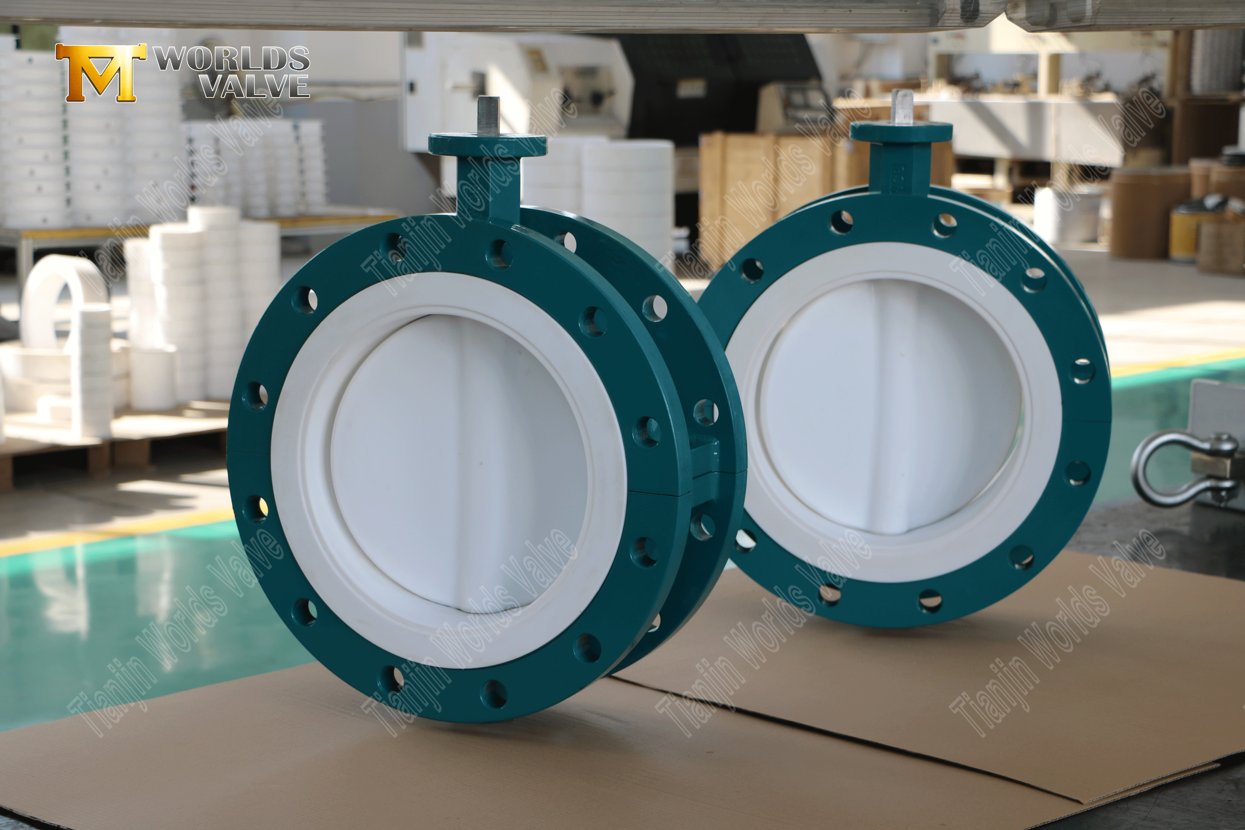 Two-Piece Flanged PTFE Butterfly Valve WCB Body & Gear Operated-1 (2).png