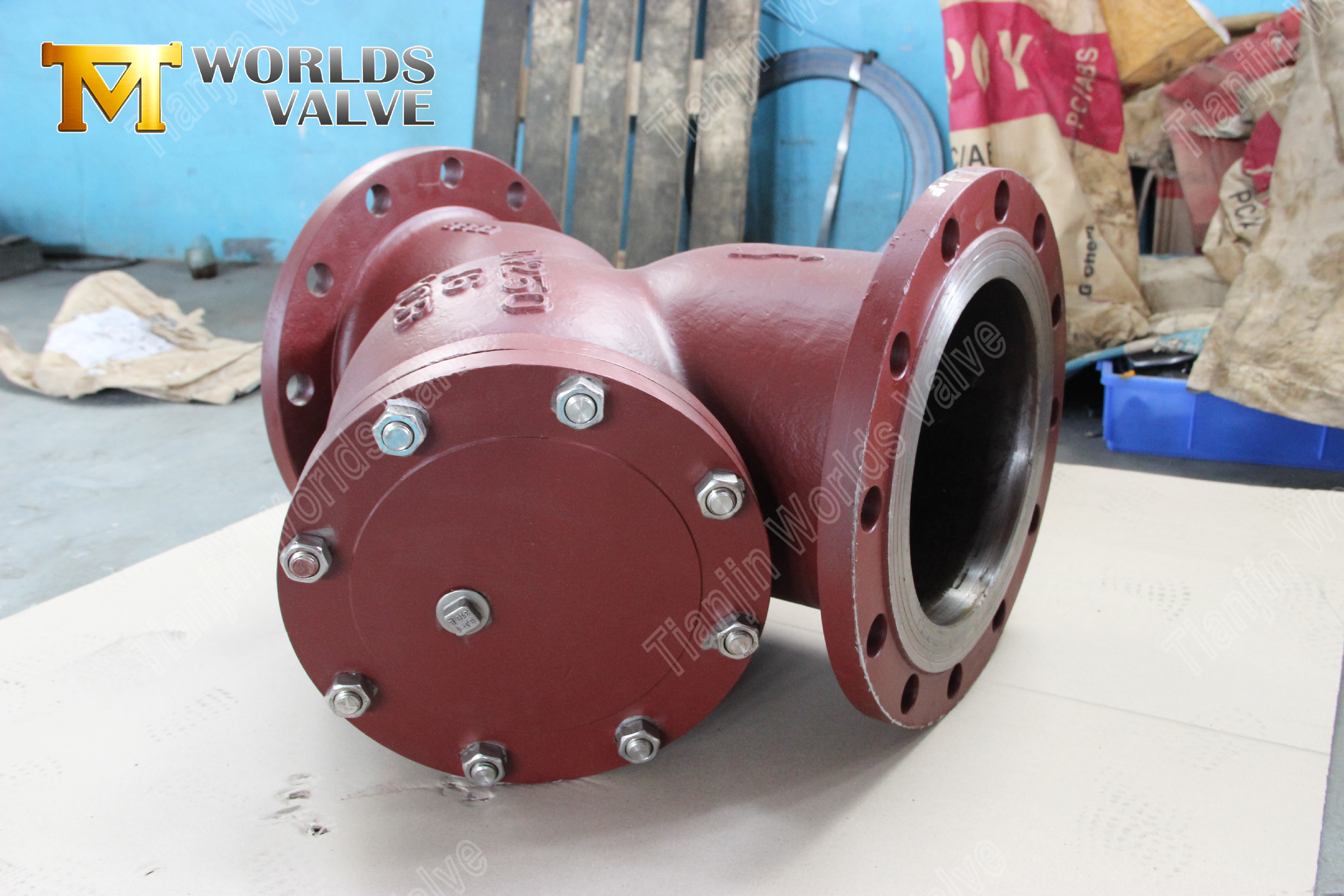 Flanged Y Type Strainer WCB Carbon Steel Industrial Pipeline Protection (8)