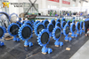 Full lugged Butterfly Valve with Halar coated disc for seawater