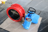 EN593 API609 Double Flange Butterfly Valve with Electric Actuator