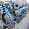 OEM Universal Connection Standard Wafer Type Butterfly Valve with Ce ISO Wras Acs