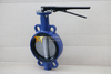 Loose liner Tongue Groove Design Wafer Butterfly Valve Replaceable Seat