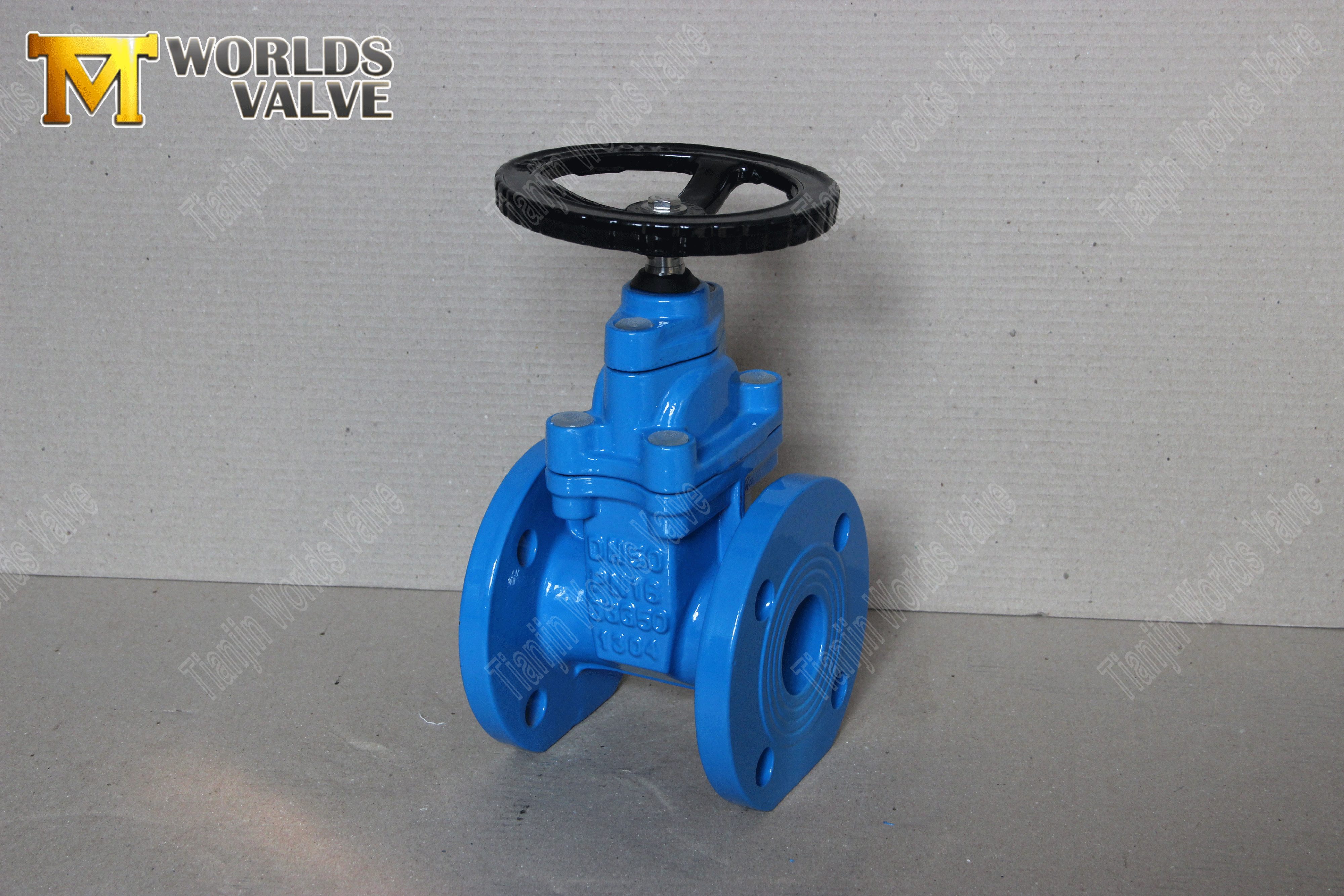 AWWA-C509-Gate-Valve-with-Resilient-Seat