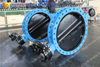 U Section Butterfly Valve with HALAR Painting Disc