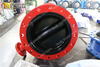 OEM Full Rubber Coated Double Flanged Butterfly Valves