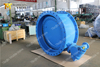 Double Eccentric Flanged Butterfly Valve with Akzonobel Epoxy Body & Disc