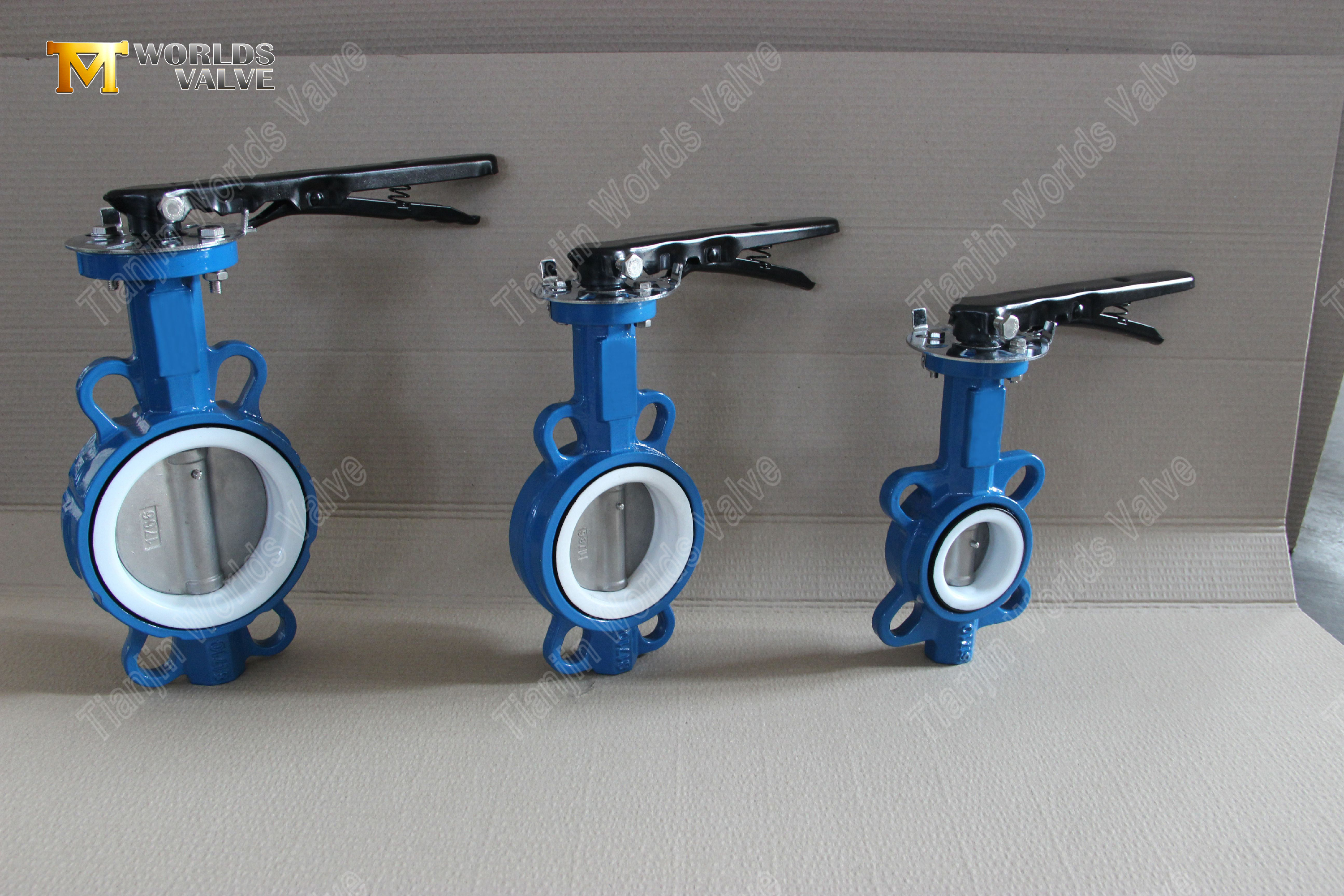 CF8M-Disc-&-PTFE-Seat-Wafer-Butterfly-Valve-with-Hand-Lever-Operation-6.jpg