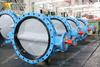 Nylon Coating Disc Double U-section Flanged Butterfly Valve with Loose Liner Seat