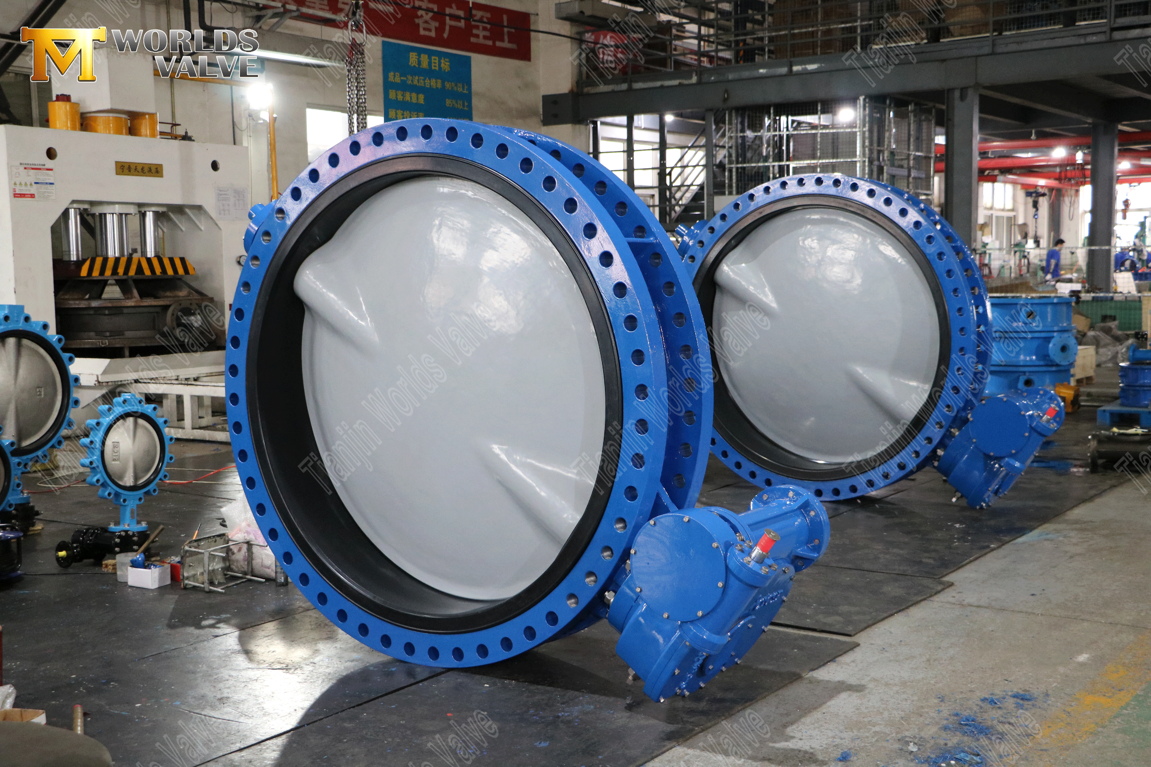 Resilient Seated Double Flanged Butterfly Valve (4)