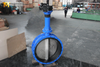 Double Flanged Butterfly Valve with long stem and pin design from China Valve Factory-Tianjin Worlds Vavle Co.,Ltd.