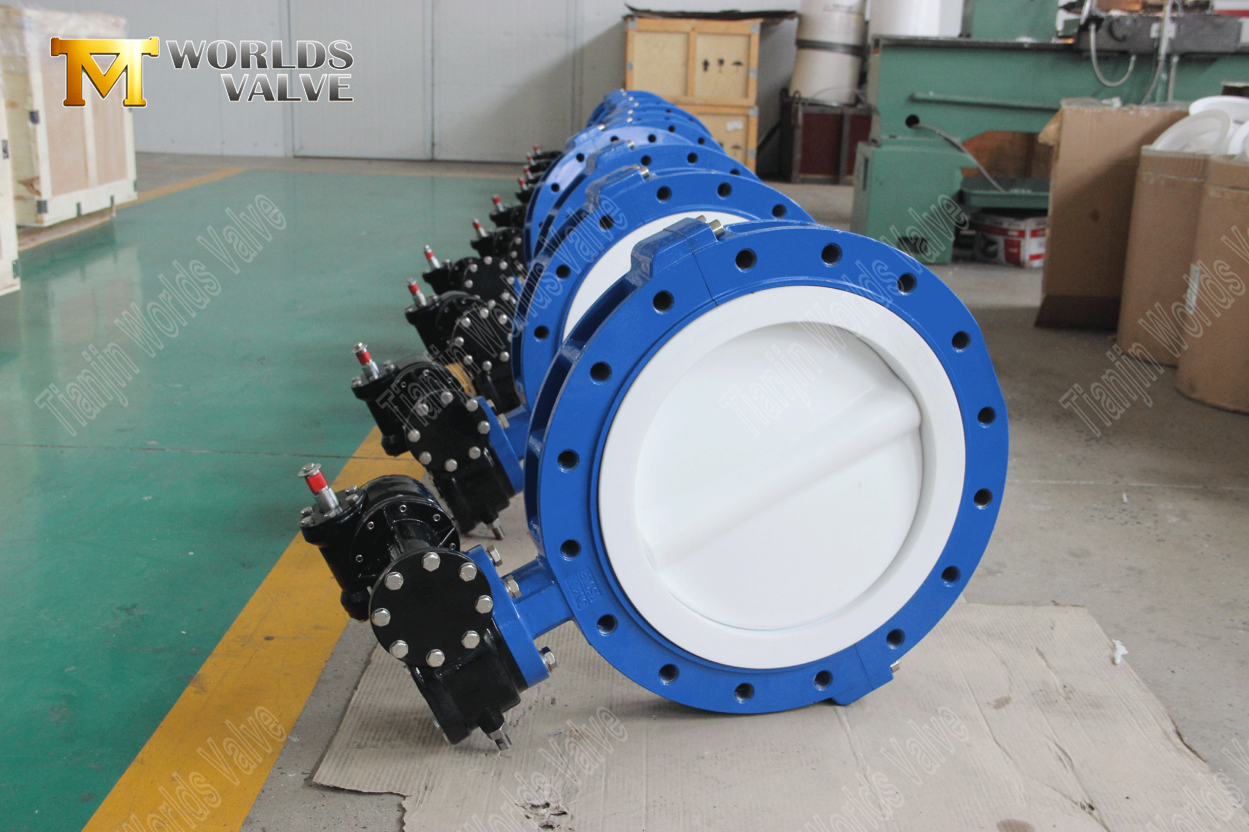 Butterfly Valve Manufacturers-PTFE Full Lined Lug Type Butterfly Valve (7)