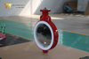 Butterfly Valve with PTFE Lined and Polished Disc supplied by professional Butterfly Valve Manufacturer-Tianjin Worlds Valve Co.,Ltd.