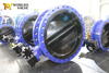 Halar Epoxy Coating FBE Coated Double Flanged Butterfly Valve