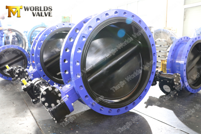 Halar Epoxy Coating FBE Coated Double Flanged Butterfly Valve