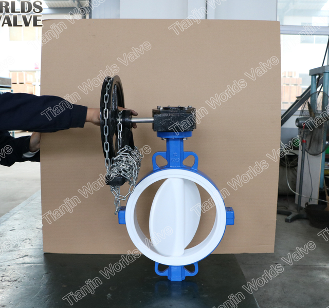 Gearbox PTFE liner Split body design Butterfly Valves with Chain Wheel Hand Operator