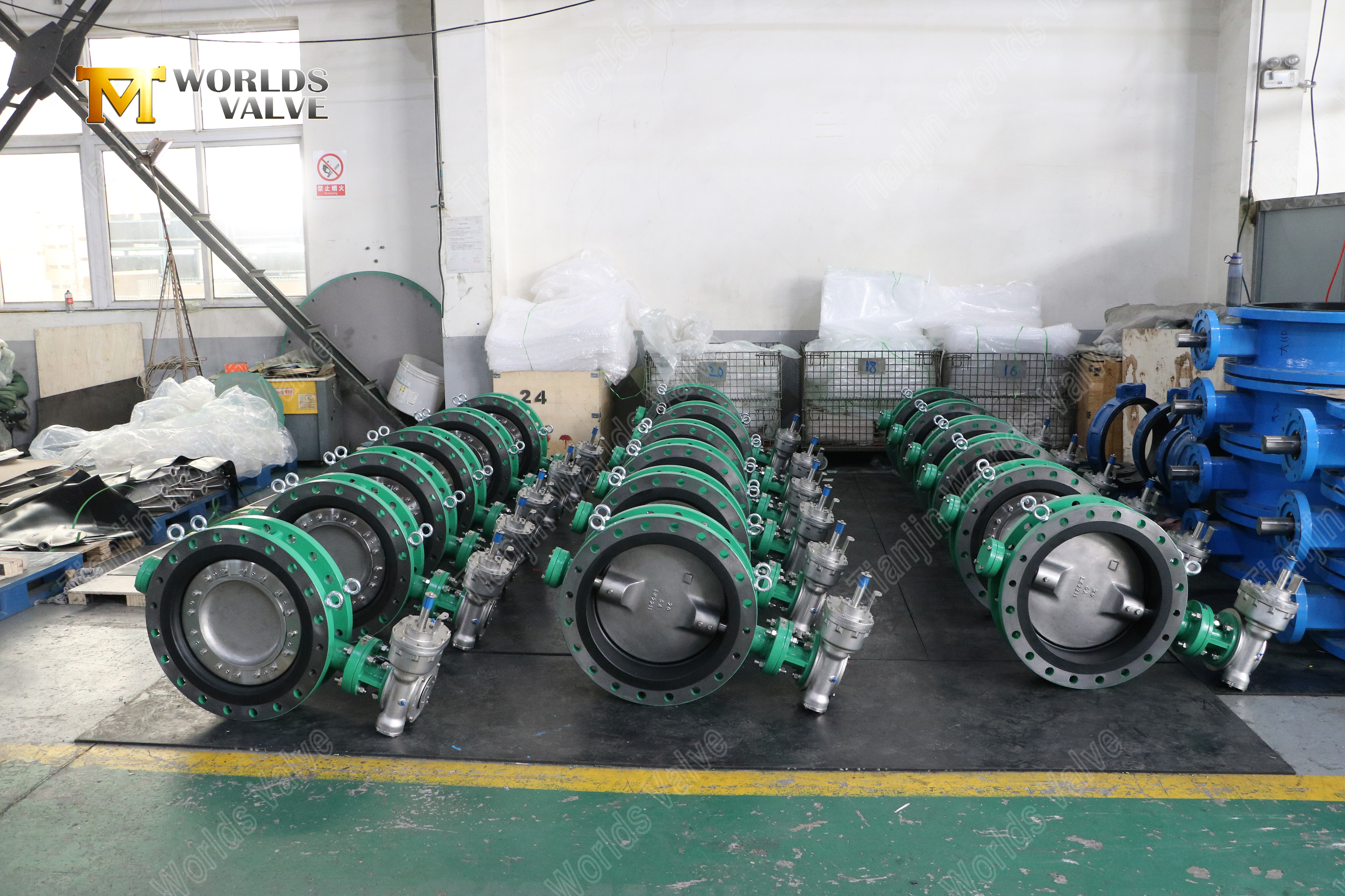 Double Offset Dual Phase Steel Butterfly Valve with Ebonite Seat-1 (3)