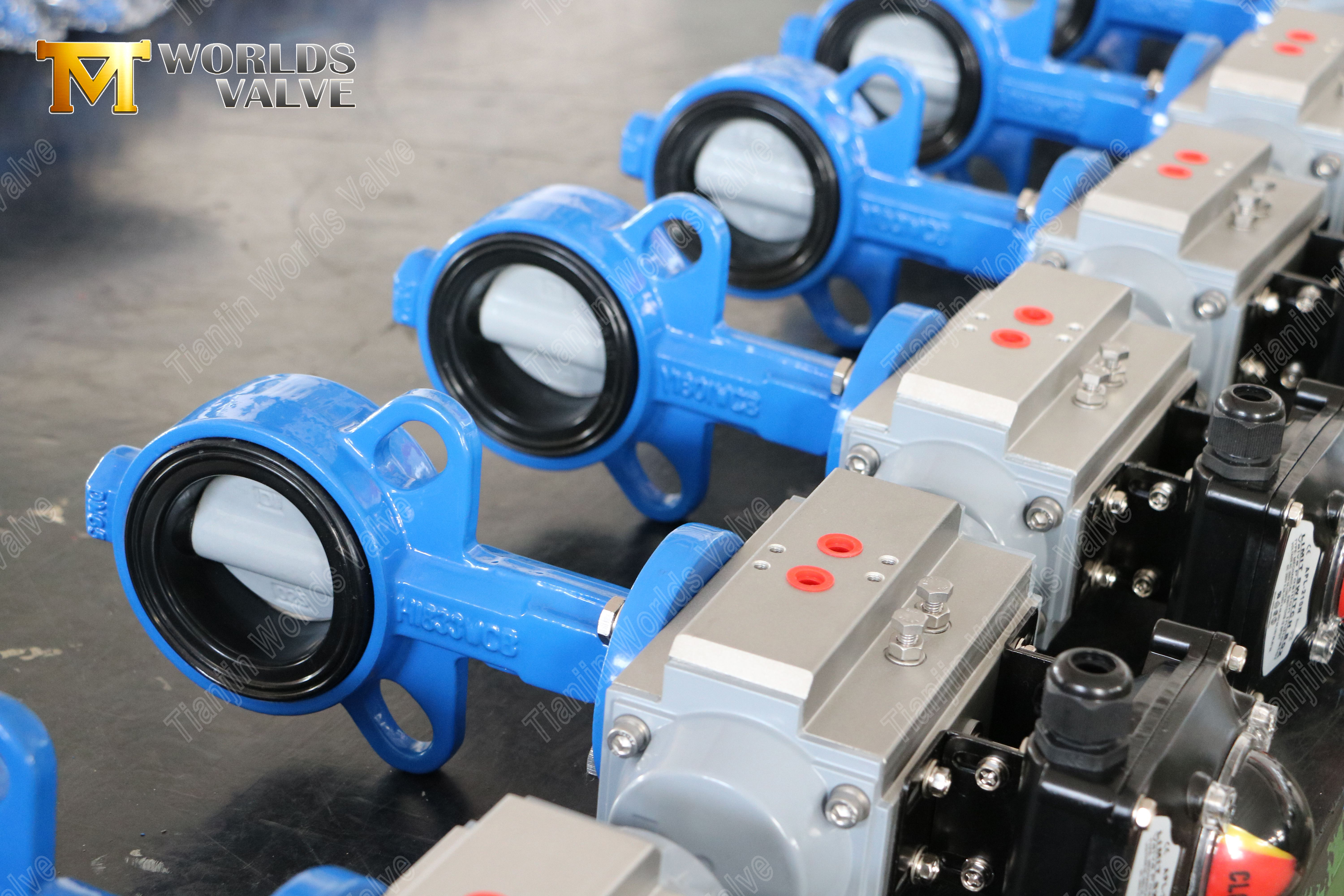 Wafer Butterfly Valve with Nylon Coated Disc & WCB Body Cost-Effective Corrosion Resistance-1 (2)