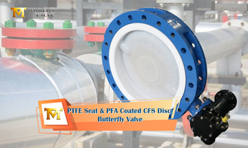 PTFE Seat & PFA Coated CF8 Disc Butterfly Valve.jpg