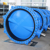Double Flanged U-Shaped Butterfly Valve with Nylon Coated Disc Offered by China OEM Valve Supplier-Tianjin Worlds Valve Co., Ltd