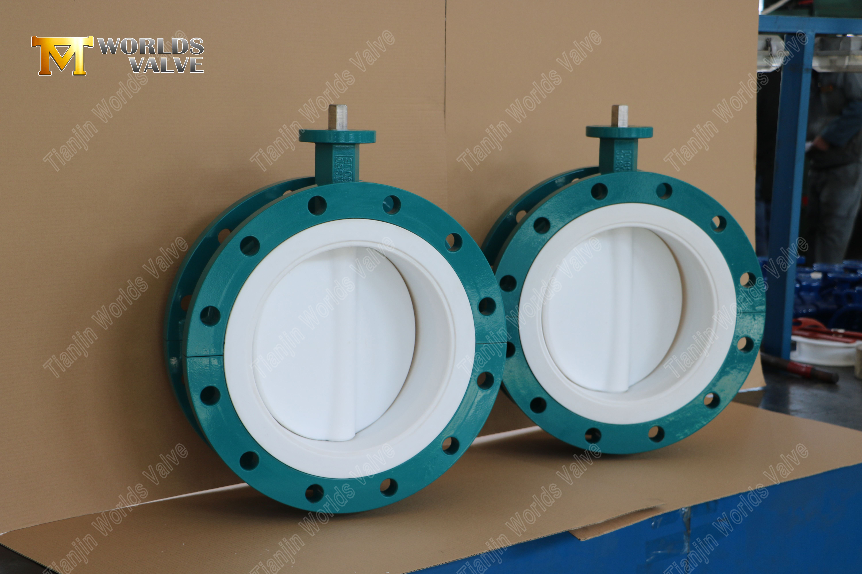 PTFE Lined Flanged Butterfly Valves-1 (2)