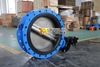 Rubber liner Double flanged butterfly valves OEM ODM Factory 