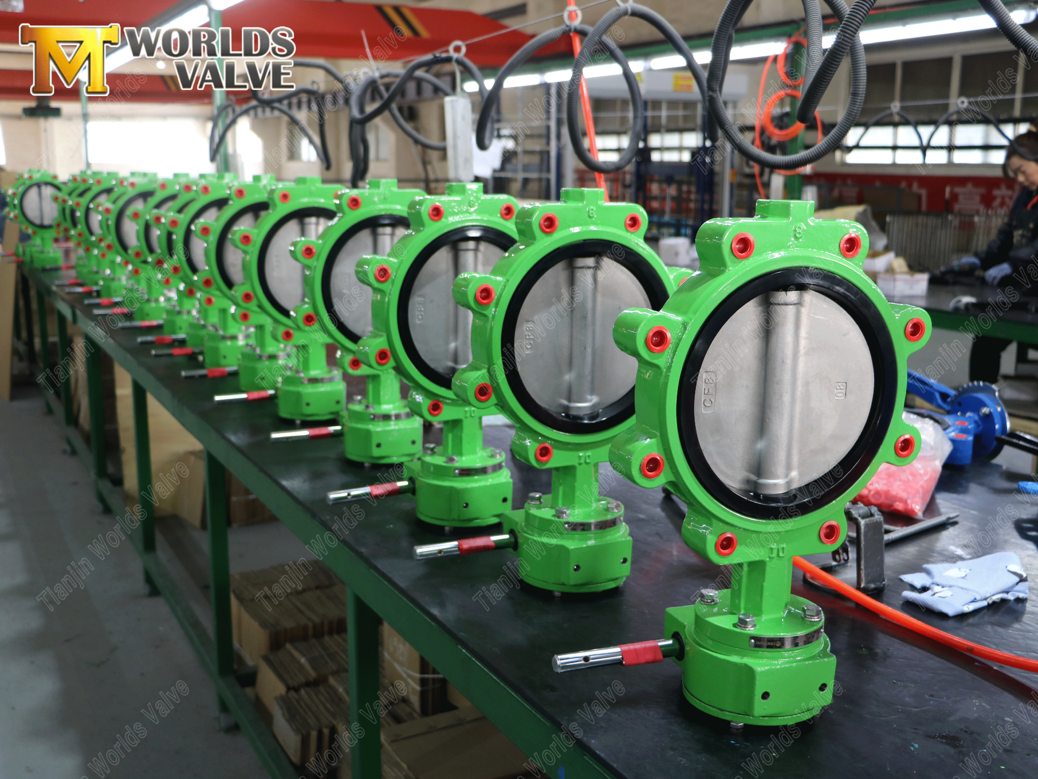 Worm Gear Lugged Butterfly Valve with The Color of Refreshing Green