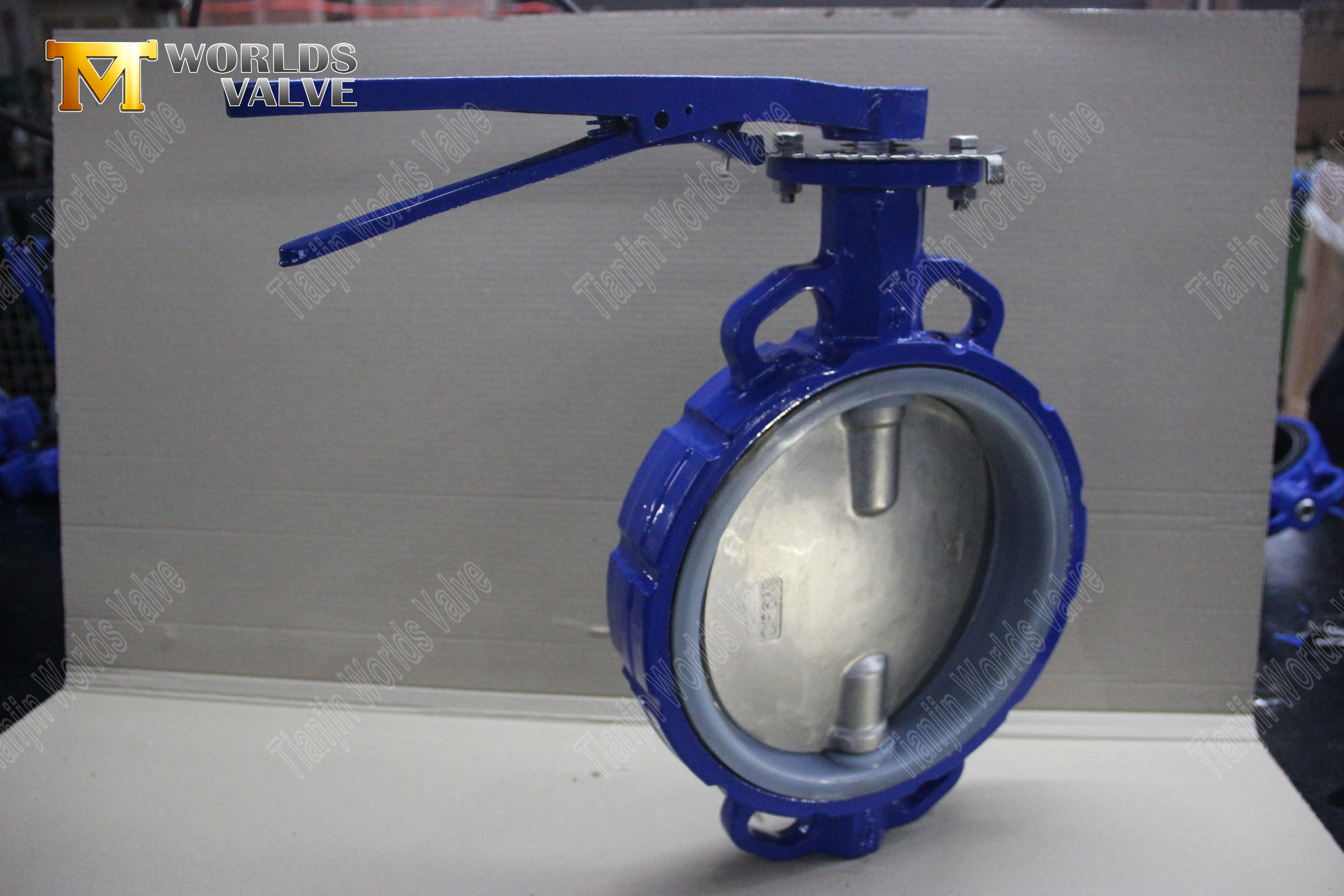 Wafer Butterfly Valve with Worm Gear Operator