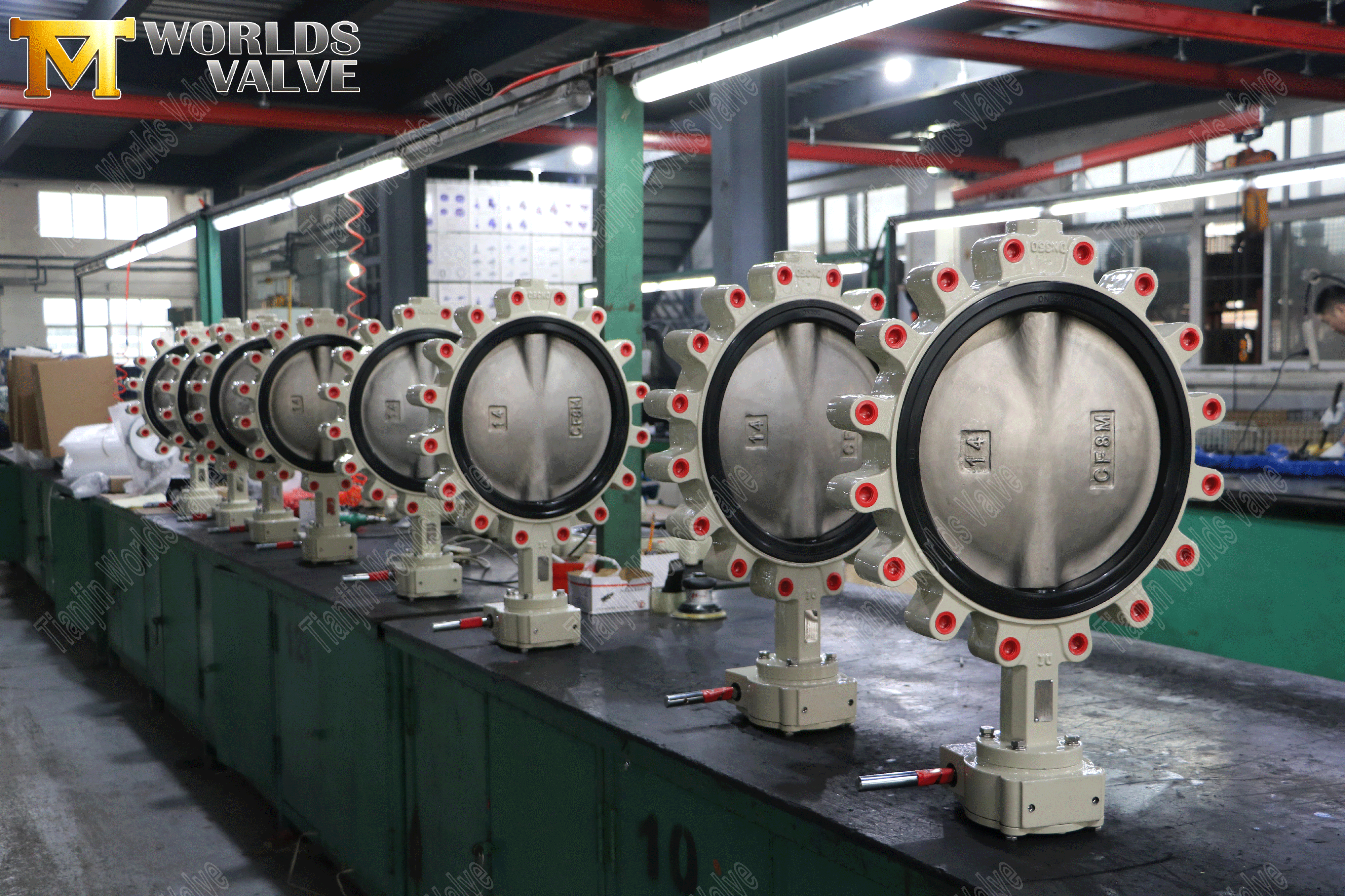 Concentric Butterfly Valve Suppliers - Lug Type Butterfly Valve with EPDM Seat (7)