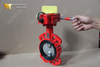 Electric Operated Butterfly Valve with EPDM Seat and Wafer Type from China Valve Factory-Tianjin Worlds Valve Co.,Ltd.