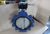 Lug Type Concentric Butterfly Valve with Gear Operated andproduced by China OEM Valve Supplier-Tianjin Worlds Valve Co.,Ltd.