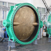 Big Size Double Flanged Butterfly Valve with Ali Bronze Disc