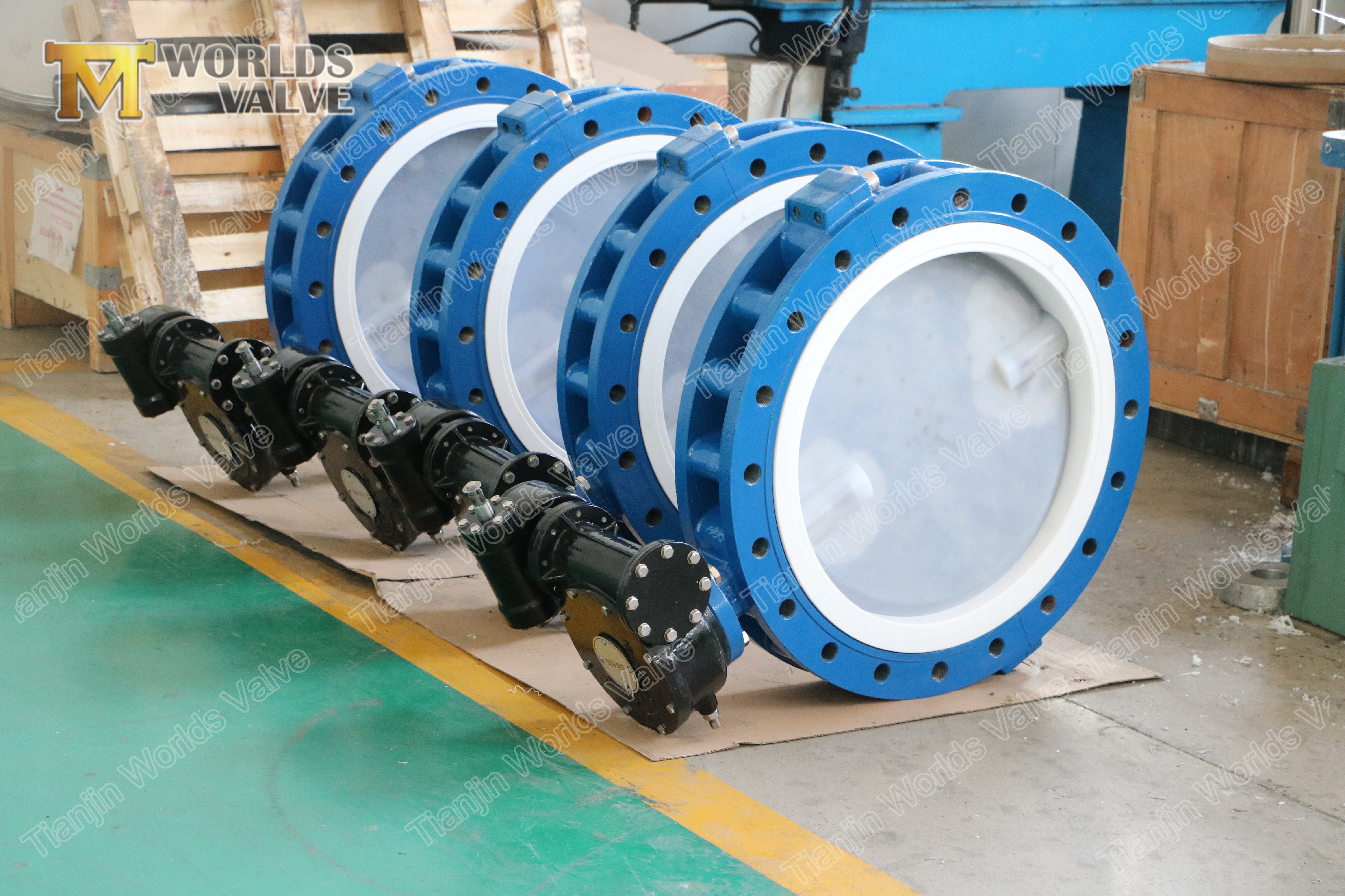 3 Full PFA lining LUG TYPE CONCENTRIC BUTTERFLY VALVE