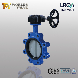 Worm Gear Lug Butterfly Valve with Nylon Covered DI Disc offered by China OEM valve Supplier-Tianjin Worlds Valve Co., Ltd.