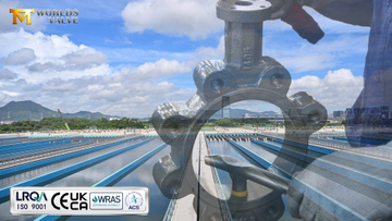 Choosing the Right Butterfly Valve A Guide for Water & Wastewater Systems.jpg
